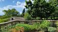 Toscana Immobiliare - The property includes a large park, a garden, a grove of lime, holm and pine trees and a private swimming pool