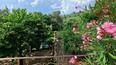 Toscana Immobiliare - Villa de lujo en venta en Toscana, Italia