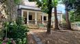 Toscana Immobiliare - Luxury liberty villa with annexes, park, garden and private pool for sale in Arezzo, Tuscany