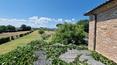 Toscana Immobiliare - La villa padronale è suddivisa in due appartamenti indipendenti