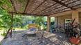 Toscana Immobiliare - The property consists of a country house, a shed and a garden with olive trees