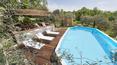 Toscana Immobiliare -