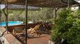 Toscana Immobiliare -