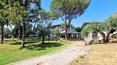 Toscana Immobiliare - The outdoor areas constitute ideal spaces for charming events and private parties