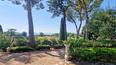 Toscana Immobiliare - Luxury properties in Italy