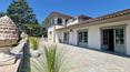 Toscana Immobiliare - The property includes a large villa, private gardens with mature trees and several residential and agricultural outbuildings