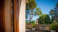 Toscana Immobiliare - Numerose finestre e porte-finestre permettono alla luce naturale di illuminare ogni ambiente