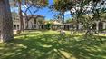 Toscana Immobiliare - Il parco, ricco di alberi secolari, ospita una bellissima piscina esterna circondata da grandi palme e alberi alti e ombrosi