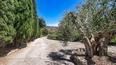 Toscana Immobiliare -  Das Anwesen bietet einen atemberaubenden Blick auf den Trasimeno-See