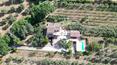 Toscana Immobiliare - Villa con piscina in vendita in Umbria