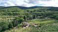 Toscana Immobiliare - Villa avec annexe, piscine et 1 ha de terrain avec vignoble et oliveraie à vendre en Ombrie