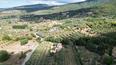 Toscana Immobiliare - Villa avec piscine à vendre en Ombrie