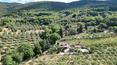 Toscana Immobiliare - Das Anwesen befindet sich in Panoramalage und genießt einen herrlichen Blick auf den Trasimeno See