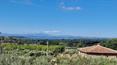 Toscana Immobiliare - La propiedad se completa con 1 ha de terreno con olivar, viñedo y jardín con vistas al lago