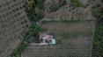 Toscana Immobiliare - Das Anwesen wird durch 1 ha Land mit Olivenhain, Weinberg und Garten mit Blick auf den See ergänzt