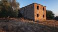 Toscana Immobiliare - Casale da ristrutturare con vista panoramica, annesso e 1 ha di terreno con oliveto e laghetto