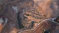 Toscana Immobiliare - Villas and farmhouses for sale in Tuscany