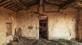 Toscana Immobiliare - Altes Bauernhaus zu renovieren in Asciano