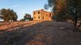 Toscana Immobiliare - Agenzia immobiliare di lusso in Italia