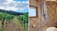 Toscana Immobiliare - Interni