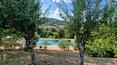 Toscana Immobiliare - Charming luxury farmhouse for sale in a small hamlet on the hills in the scenic Tuscan countryside