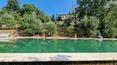 Toscana Immobiliare - Il casale di pregio è circondato da un ettaro di terreno ben curato con una spaziosa piscina