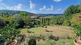 Toscana Immobiliare - The property is surrounded by one hectare of well-kept garden with swimming pool and solarium overlooking the valley