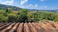 Toscana Immobiliare -  La villa è stata recentemente ristrutturata e presenta le finiture tipiche degli edifici di campagna toscani