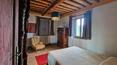 Toscana Immobiliare - La belle ferme est entourée d'un hectare de terrain bien entretenu avec une grande piscine