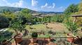 Toscana Immobiliare -