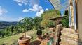 Toscana Immobiliare -