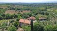 Toscana Immobiliare - Podere con agriturismo vigneto e oliveto vendita Sinalunga Siena Toscana