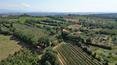 Toscana Immobiliare - Podere con agriturismo vigneto e oliveto vendita Sinalunga Siena Toscana