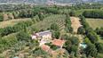 Toscana Immobiliare - Farmhouse with vineyard and olive grove for sale Sinalunga Siena Tuscany