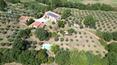 Toscana Immobiliare - Farmhouse with vineyard and olive grove for sale Sinalunga Siena Tuscany