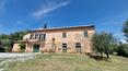 Toscana Immobiliare - Farmhouse with vineyard and olive grove for sale Sinalunga Siena Tuscany