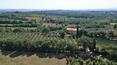 Toscana Immobiliare - Farmhouse with vineyard and olive grove for sale Sinalunga Siena Tuscany