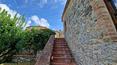 Toscana Immobiliare -  La proprietà dispone di un giardino con piscina panoramica