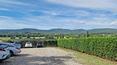 Toscana Immobiliare -  Ville e casali in Toscana