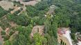 Toscana Immobiliare - La proprietà è composta da due casali e vari annessi, circondati da 11 ettari di terreno