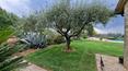 Toscana Immobiliare - Luxus-Immobilie zum Verkauf in Collazzone, in der Provinz Perugia