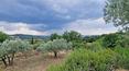 Toscana Immobiliare - Encantadora masía con piscina y 11 ha de terreno en venta en Umbría