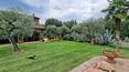 Toscana Immobiliare - The farmhouses are surrounded by a park of centuries-old trees and enjoy absolute privacy