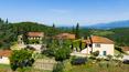 Toscana Immobiliare - The farm covers approximately 180 hectares, mostly covered by woods