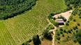 Toscana Immobiliare -  La proprietà include vari appartamenti, la cantina di vinificazione, vari magazzini agricoli e un casale da ristrutturare