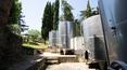 Toscana Immobiliare - La finca cubre aproximadamente 180 hectáreas, en su mayoría cubiertas de bosques