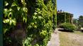 Toscana Immobiliare - Agenzia immobiliare vende immobili di prestigio in Italia