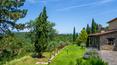 Toscana Immobiliare - Finca con agroturismo y 180 ha de tierra cultivable, viñedos y olivares en venta en las colinas toscanas de Arezzo