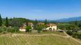 Toscana Immobiliare - La propiedad incluye varios pisos, la bodega de vinificación, varios almacenes agrícolas y un cortijo que necesita renovación