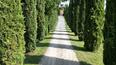 Toscana Immobiliare - Farm for sale in the province of Arezzo, Tuscany